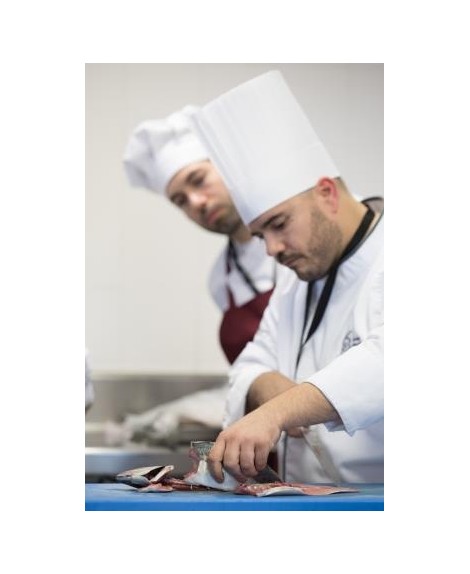 Conviértete en un chef profesional 1.0