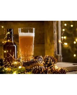 CURSO DE BURGERS Y CERVEZA