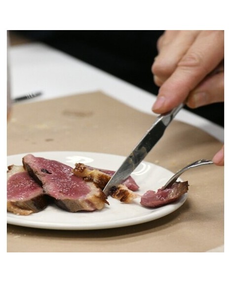 CURSO DE COCINA ESPECIAL CARNES