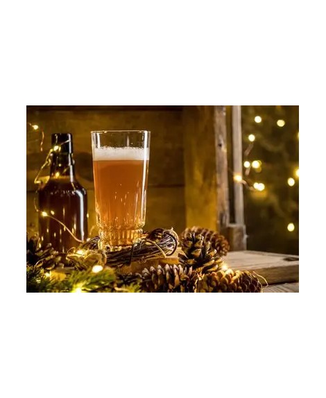 CURSO DE BURGERS Y CERVEZA